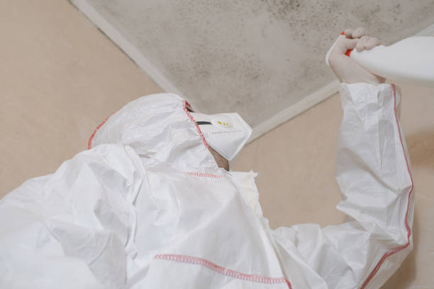 Best Crawl Space Mold Removal  in Bargaintown, NJ